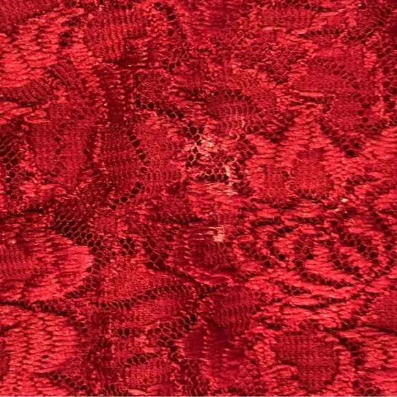 Pins & Needles Urban Outfitters Burgundy Crimson Sweetheart Lace Dress Sz Large - Picture 8 of 12